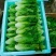 云南精品优质叶菜冷库精包装意大利油麦上海青夏黄白