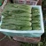 云南精品优质叶菜冷库精包装意大利油麦上海青夏黄白