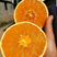 2023年秭归九月红鲜橙，皮薄多汁，口感甜，无核化渣