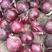 紫皮洋葱，一手货源质量好，价格低，全国发货