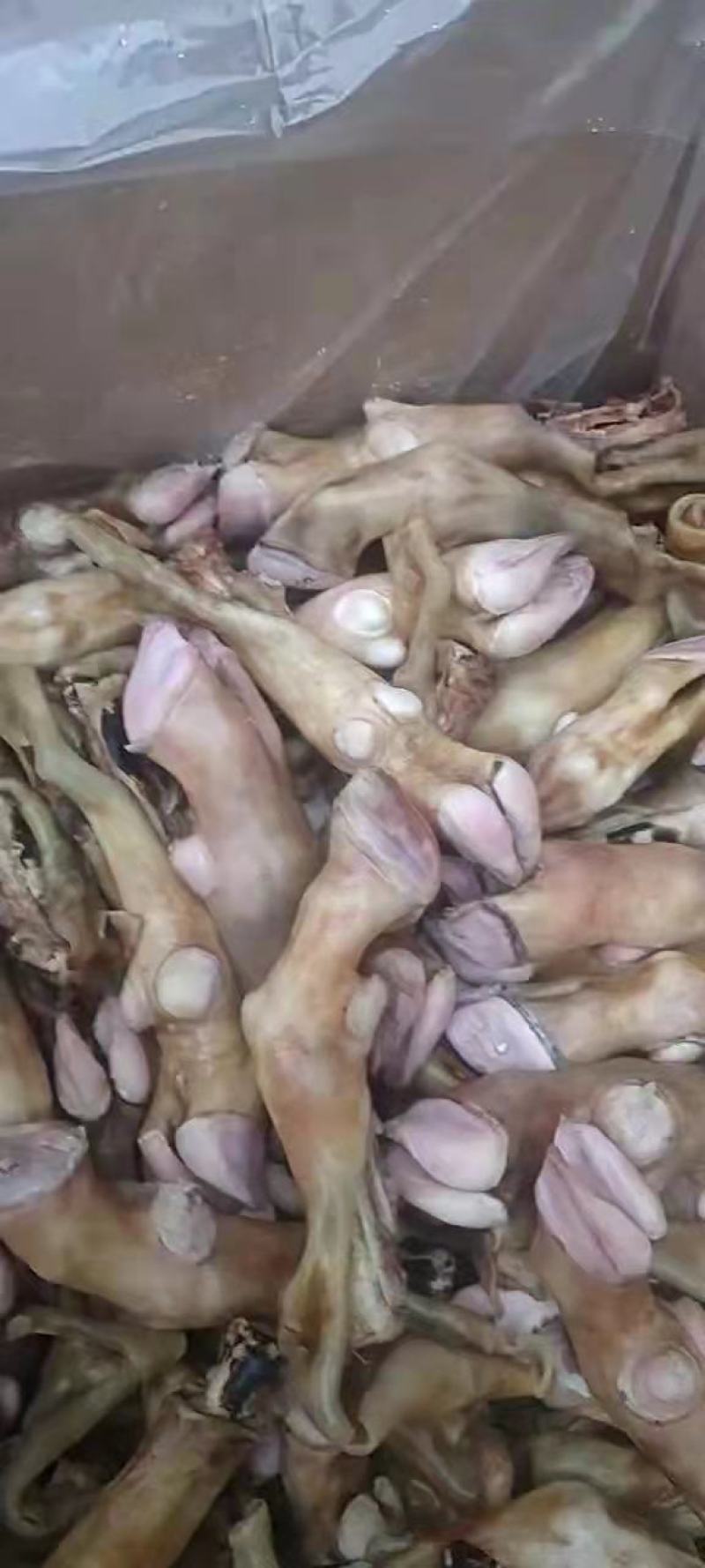 火烧，水退，羊蹄，牛蹄去骨牛蹄正在加工中