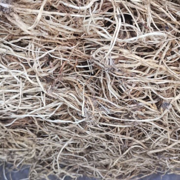 北龙胆龙胆草，种植四年烘干水洗货，质量很好