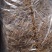 北龙胆龙胆草，种植四年烘干水洗货，质量很好