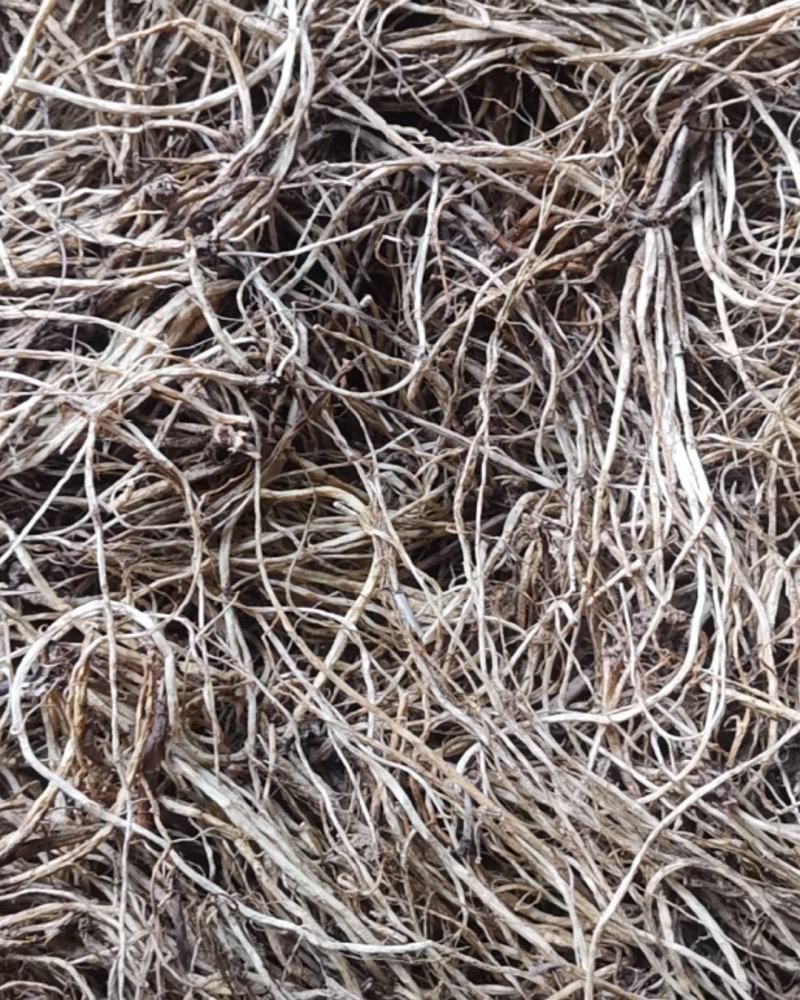 北龙胆龙胆草，种植四年烘干水洗货，质量很好