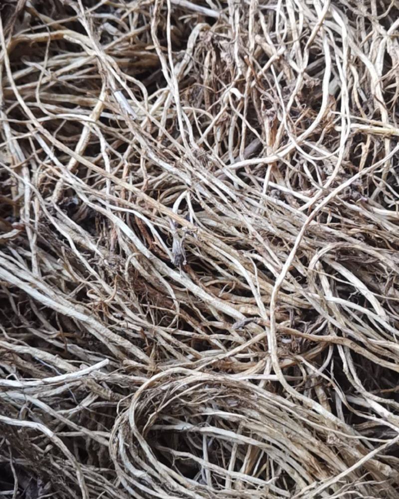 北龙胆龙胆草，种植四年烘干水洗货，质量很好