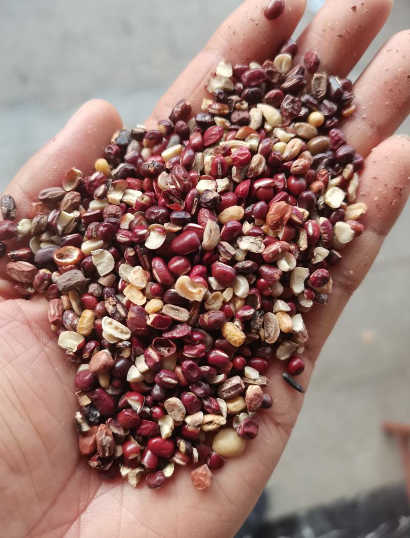 赤小豆新货赤小豆各种香辛料中药材批发