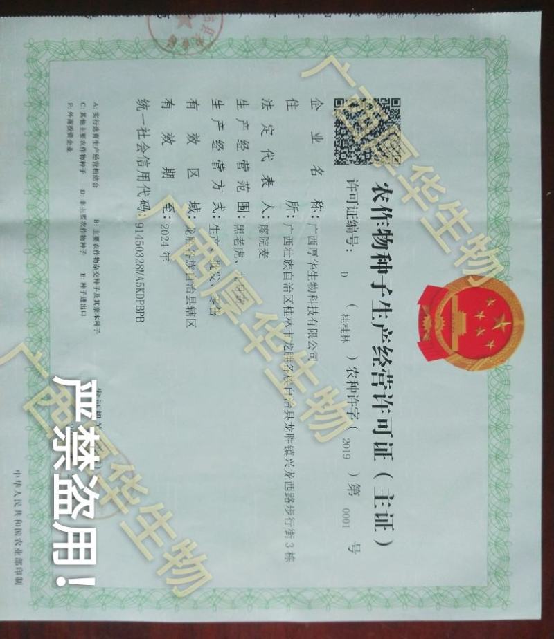 正宗太秋甜柿苗，专业技术指导，保您成功！