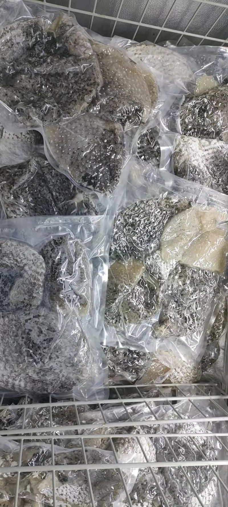 冷冻刺龟皮批发，冰鲜刺龟皮，拔刺干净刺龟皮