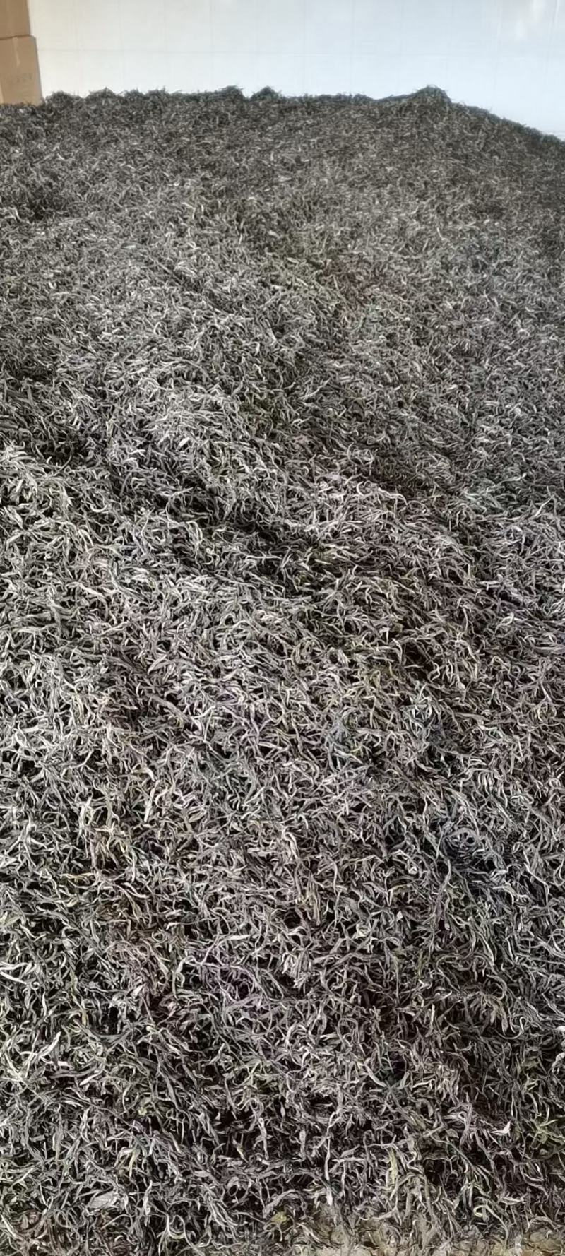 云南勐库大叶茶原生态不打农药人工除草