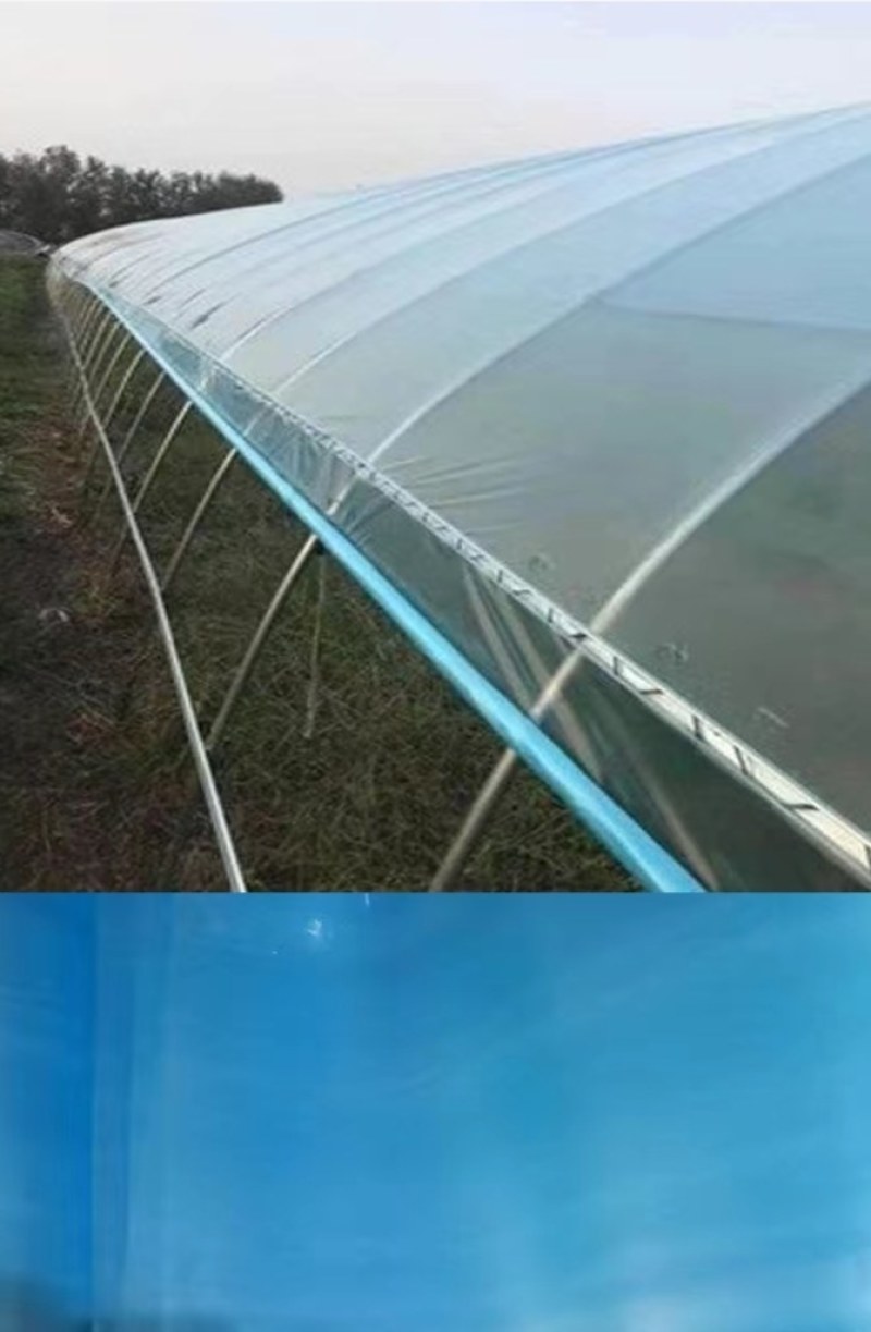 大棚膜红丰EVA日光膜膜厂家直发，量大从优大棚配件