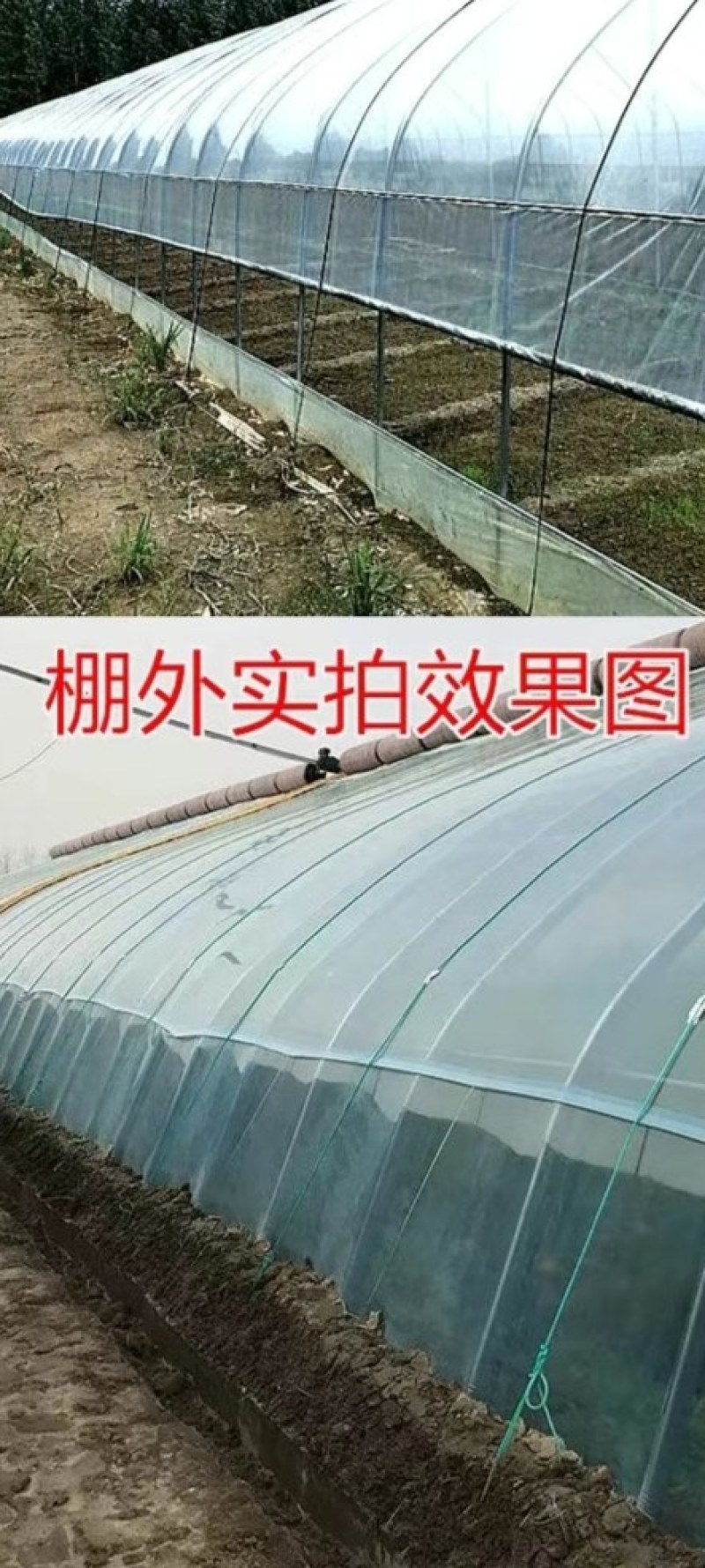 大棚膜红丰EVA日光膜膜厂家直发，量大从优大棚配件