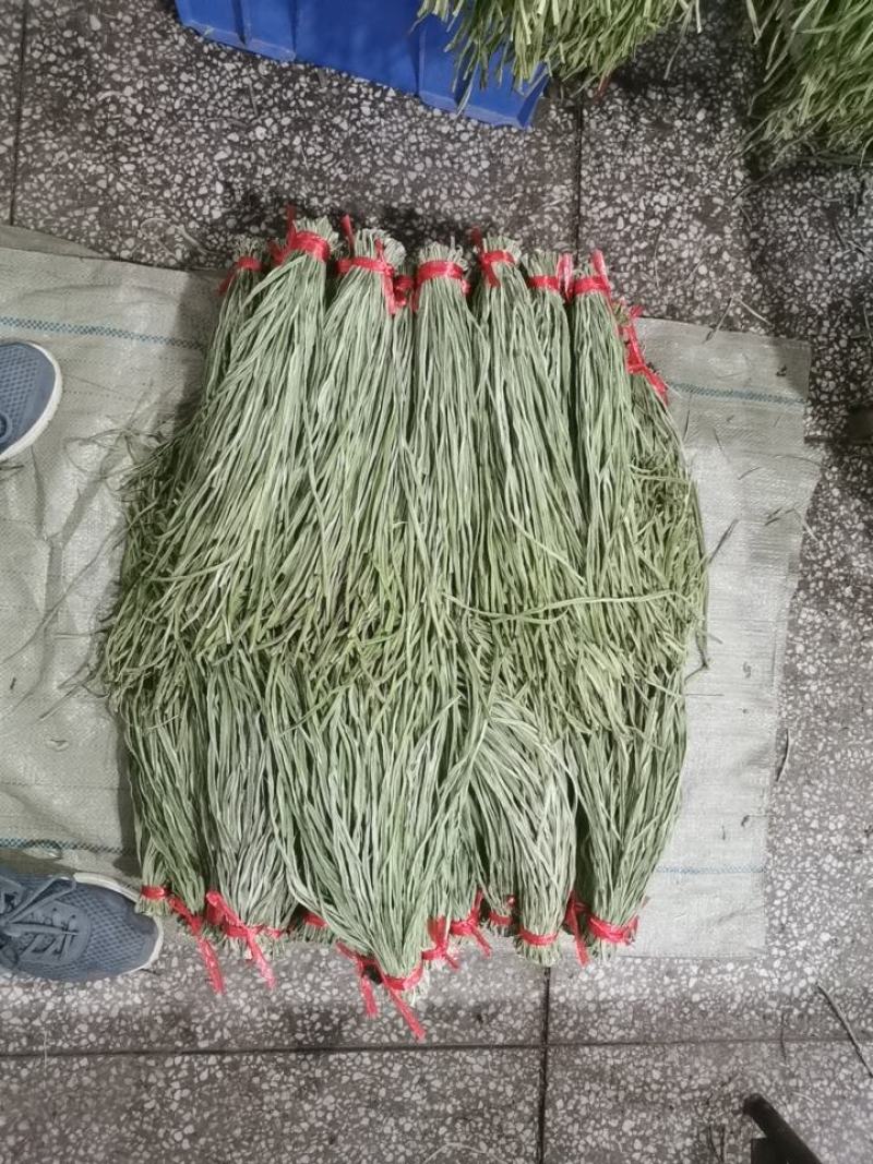 安徽精品贡菜，山蜇菜，供应火锅，水泡菜厂，欢迎下单咨询