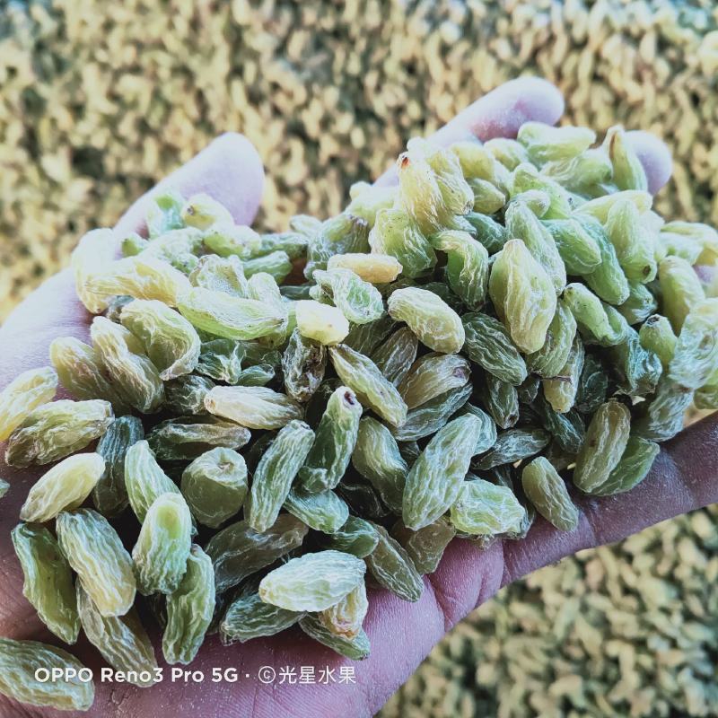 大颗粒无核白葡萄干，颗粒泡满，干度好，颗粒大。