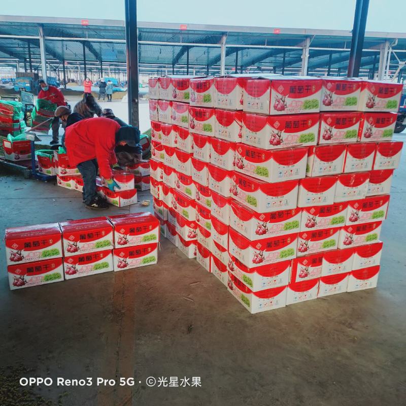 大颗粒无核白葡萄干，颗粒泡满，干度好，颗粒大。