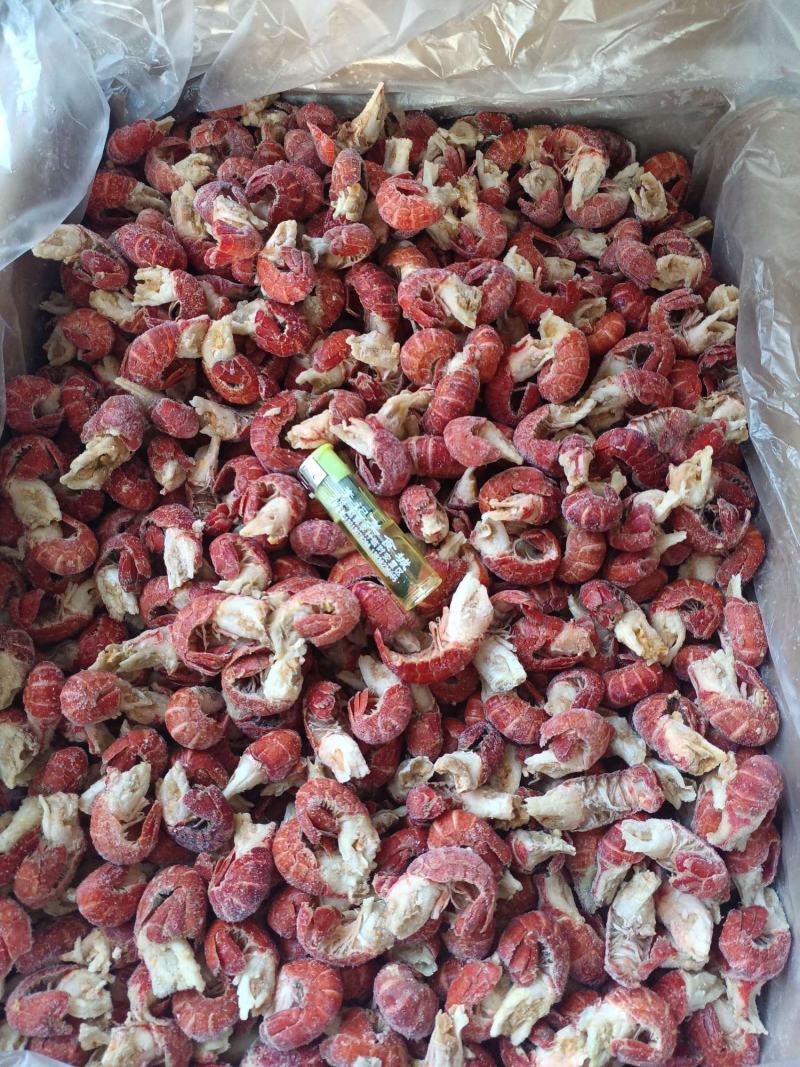 【工厂直销】纯干无冰衣龙虾尾龙虾尾原料龙虾尾