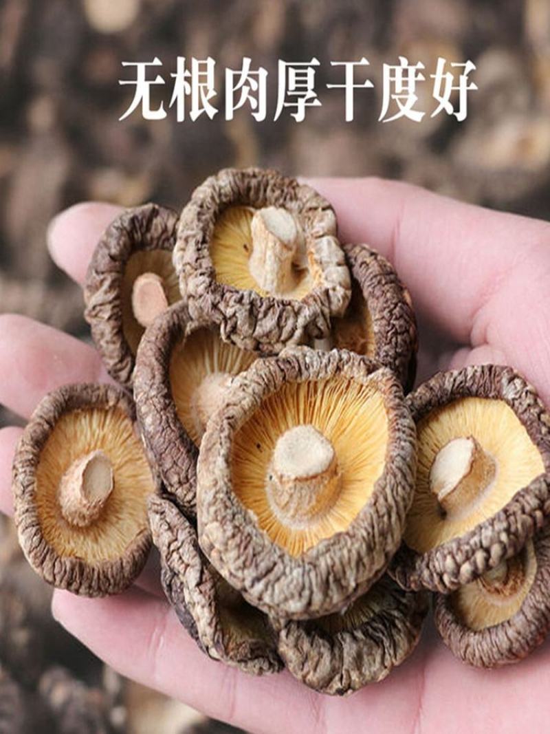 农家新货香菇级特生小香菇干货蘑菇五斤包邮日晒无根肉厚干野