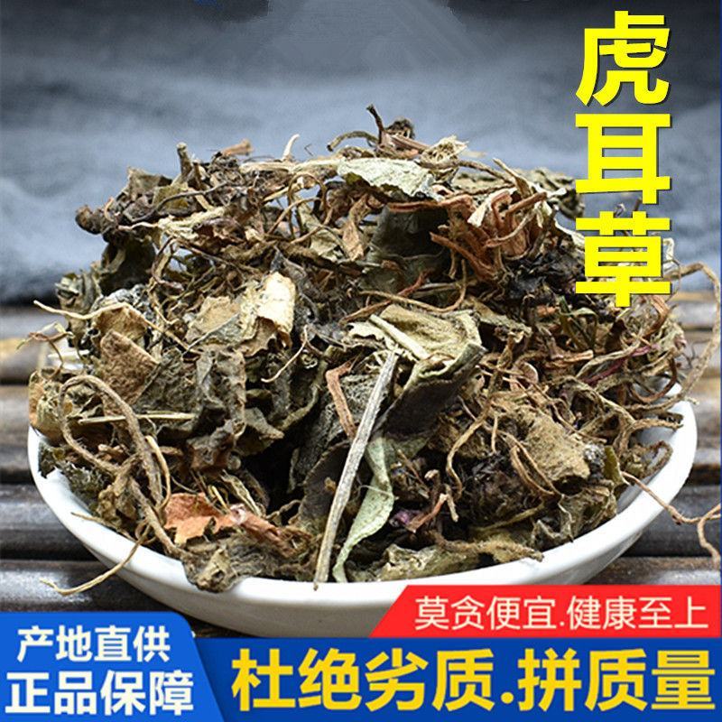 虎耳草虎耳草中药材虎儿草姬虎耳草药用叶干货高山老虎草