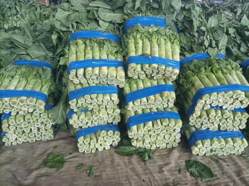 莴笋大量上市，本市场女工，装车工，欢迎新老客户前来选购。
