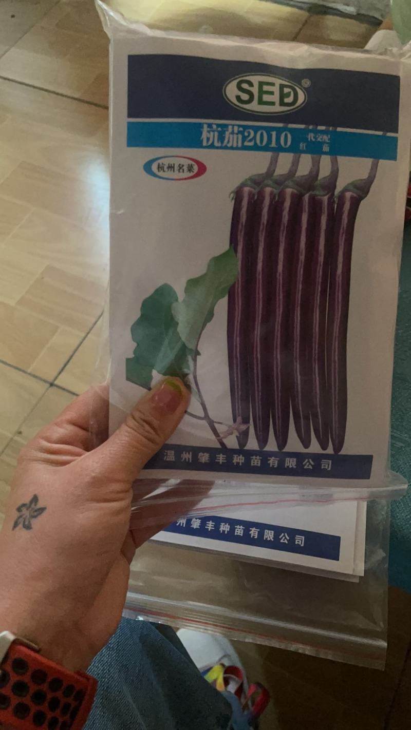 杭茄2010系列种苗烧烤细长茄苗嫁接紫红长茄子苗批发