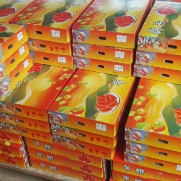 桂林平乐柿饼广西柿饼子原产地优质精装礼盒装柿饼大量