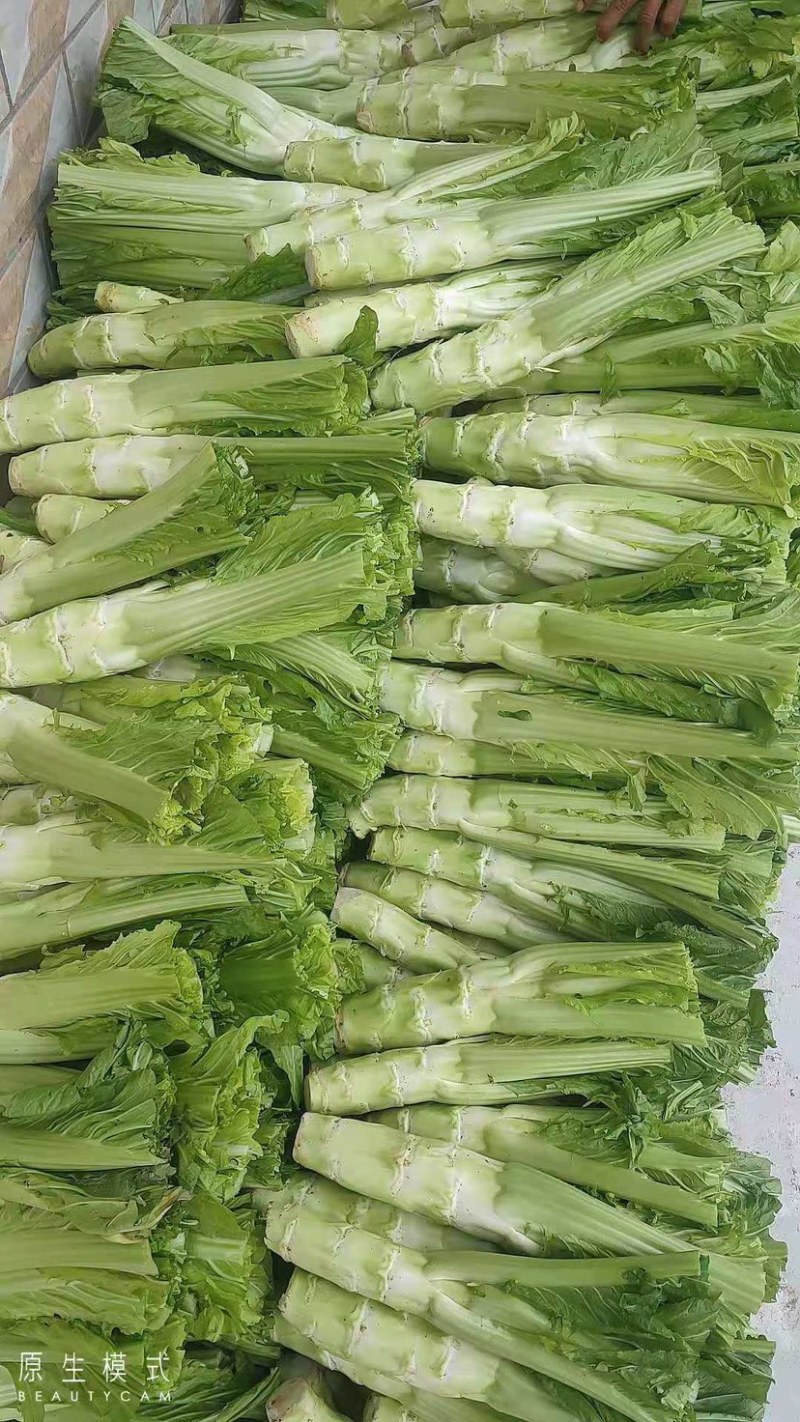 二青皮，皮薄