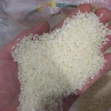 【优选】黑龙江珍珠米粳米货量充足量大从优欢迎选购！