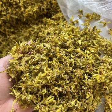 铁皮石斛花2021新花干花鼓槌石斛花500克批发