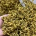 铁皮石斛花2021新花干花鼓槌石斛花500克批发