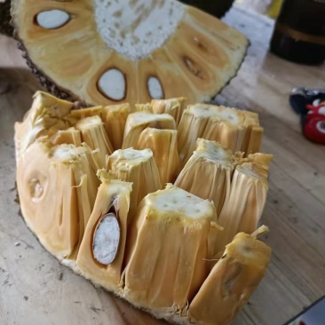 越南红肉菠萝蜜果地直销，天天有货出