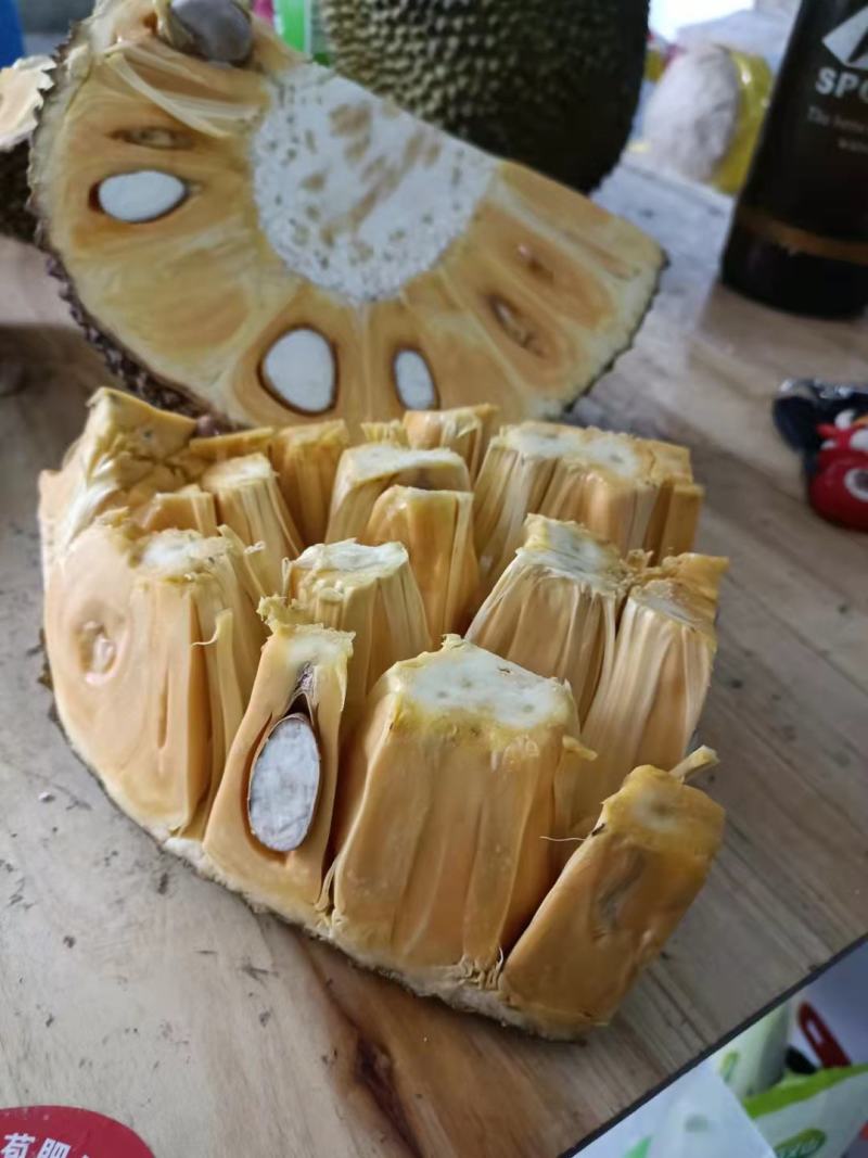 越南红肉菠萝蜜果地直销，天天有货出