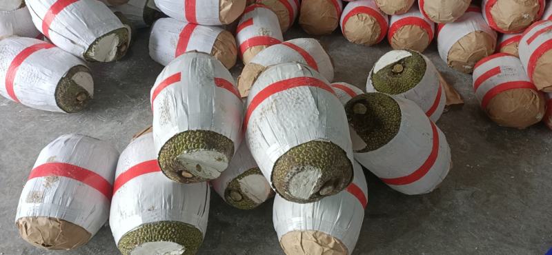 越南红肉菠萝蜜果地直销，天天有货出