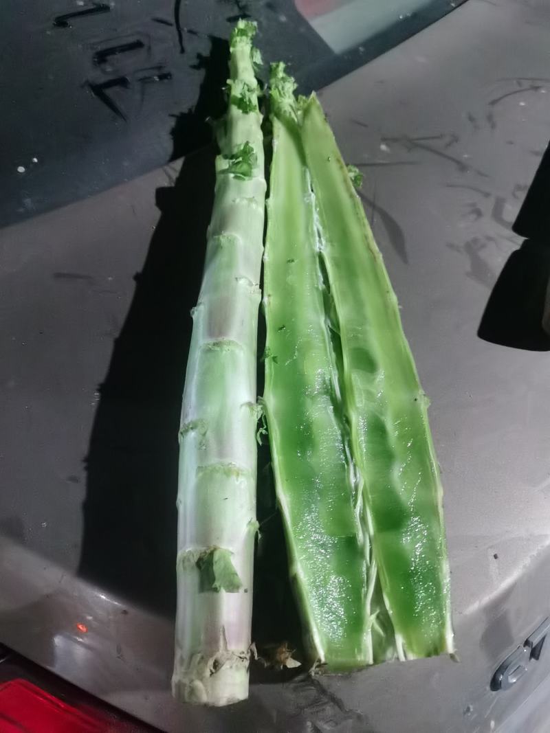 【精品莴苣】河南莴笋规格齐全量大从优产地发货