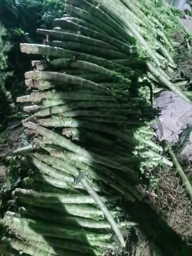 【精品莴苣】河南莴笋规格齐全量大从优产地发货