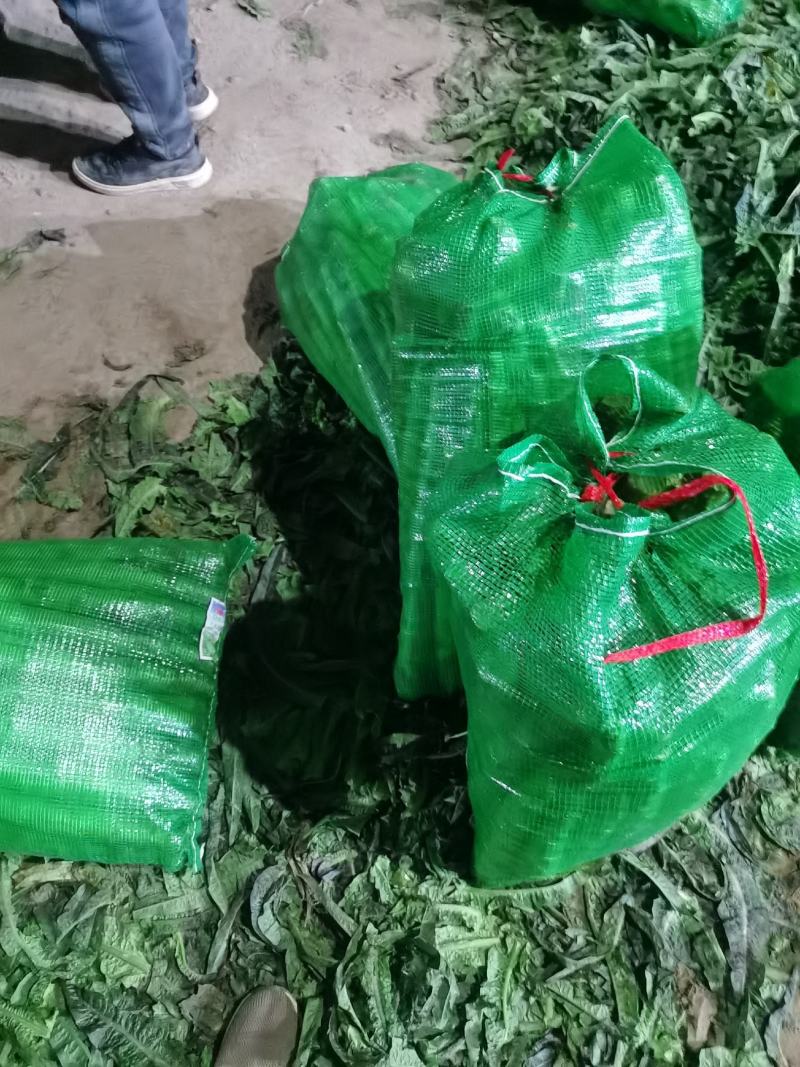 【精品莴苣】河南莴笋规格齐全量大从优产地发货