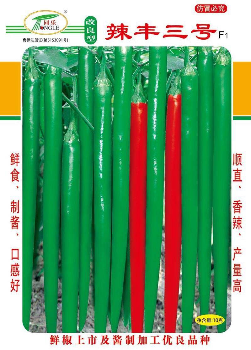 改良型辣丰三号线椒种子高产辣椒种子10克袋正品包邮