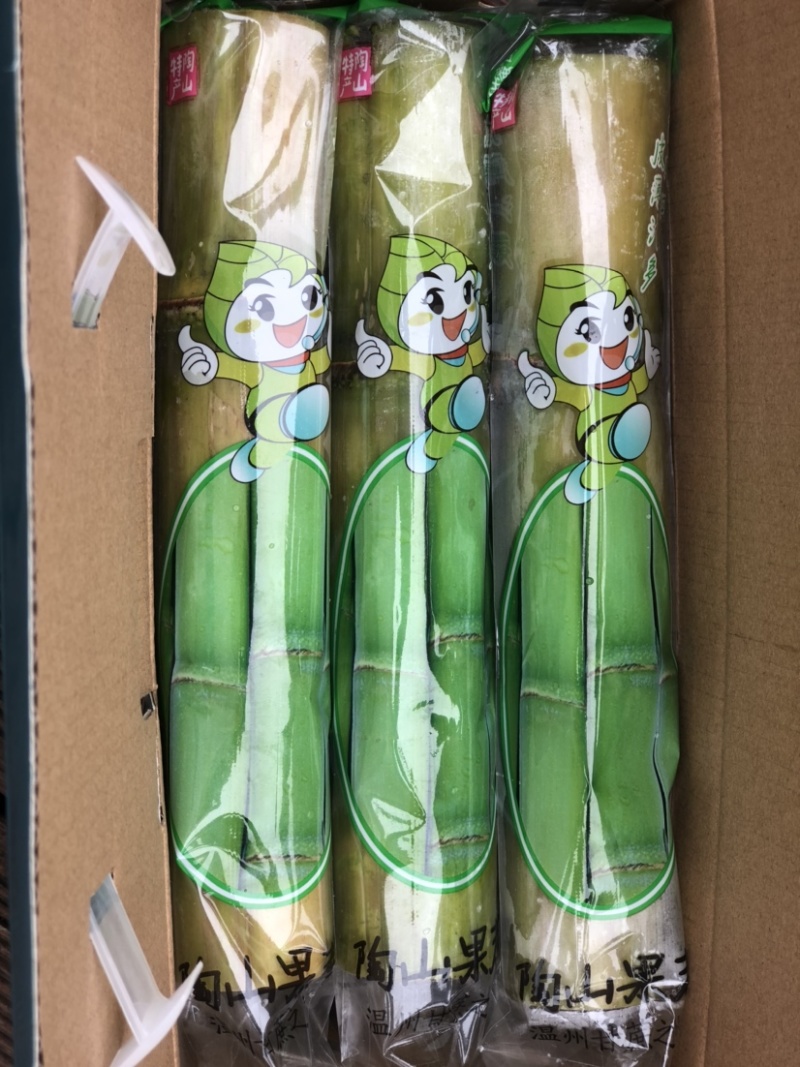 4斤陶山甘蔗青皮绿皮甘蔗孕妇新鲜水果陶山果蔗现砍现发