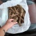 广东纯野生牛大力