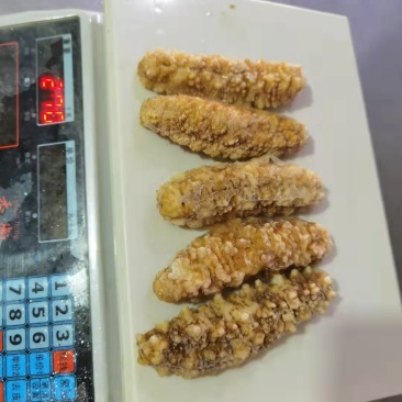 黄肉参，冰鲜黄肉参批发，红参，木瓜参等三沙海参供应商家
