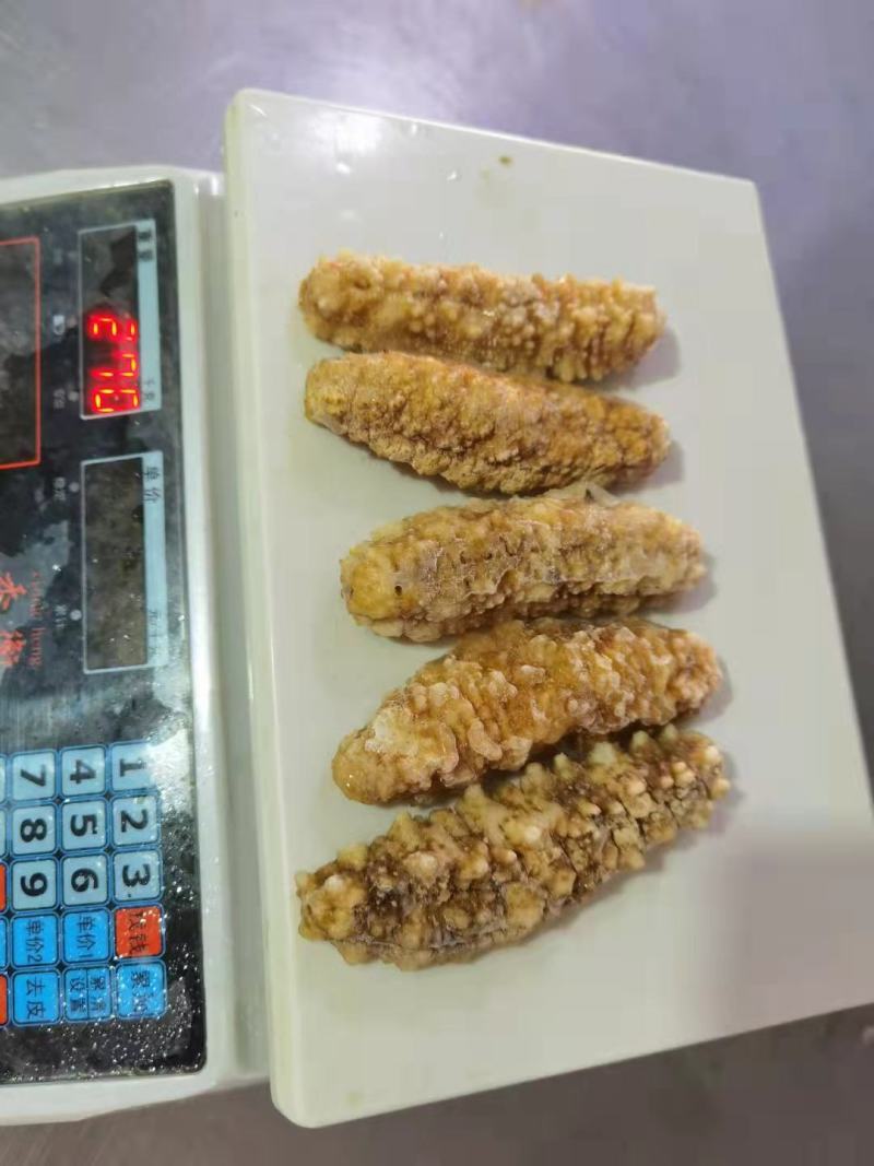 黄肉参，冰鲜黄肉参批发，红参，木瓜参等三沙海参供应商家