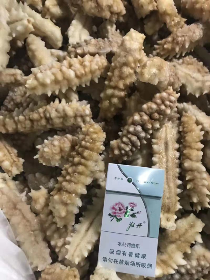 黄肉参，冰鲜黄肉参批发，红参，木瓜参等三沙海参供应商家