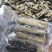 黄肉参，冰鲜黄肉参批发，红参，木瓜参等三沙海参供应商家