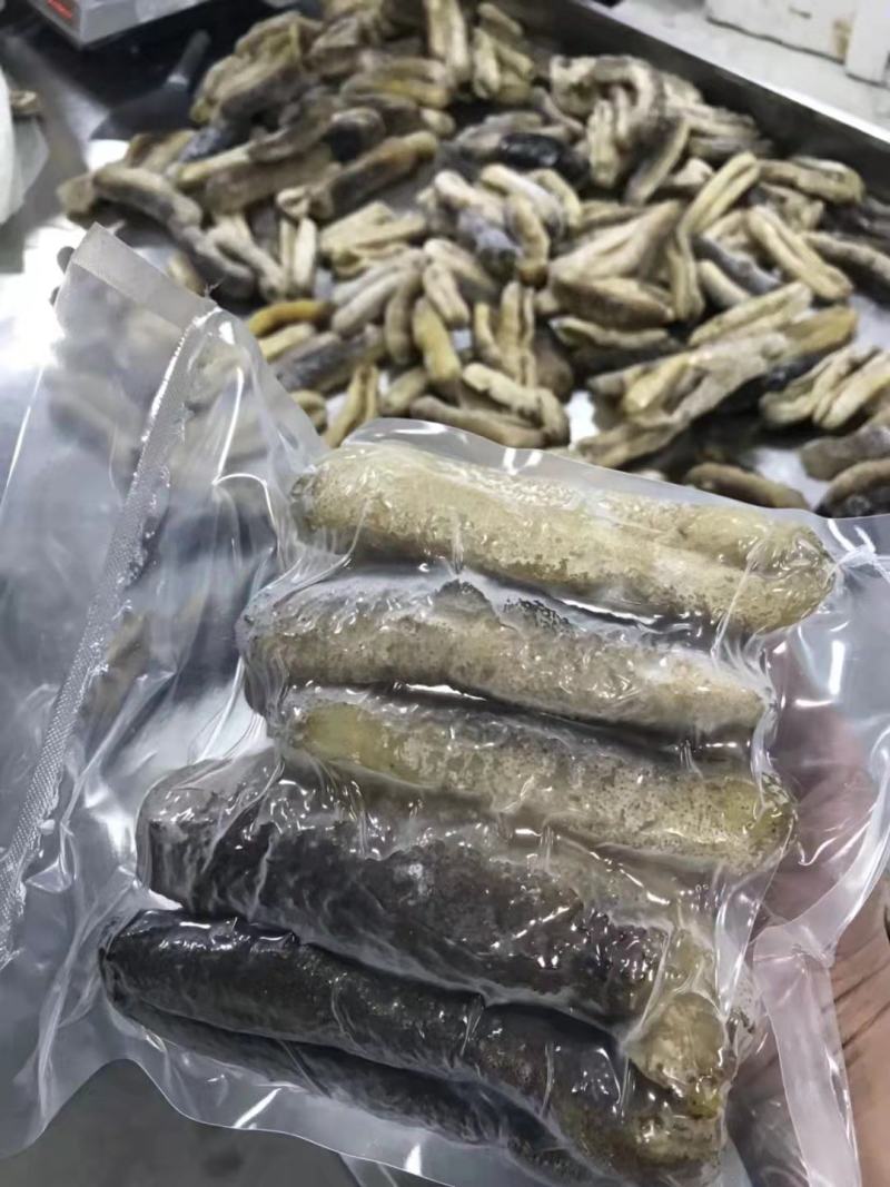 黄肉参，冰鲜黄肉参批发，红参，木瓜参等三沙海参供应商家