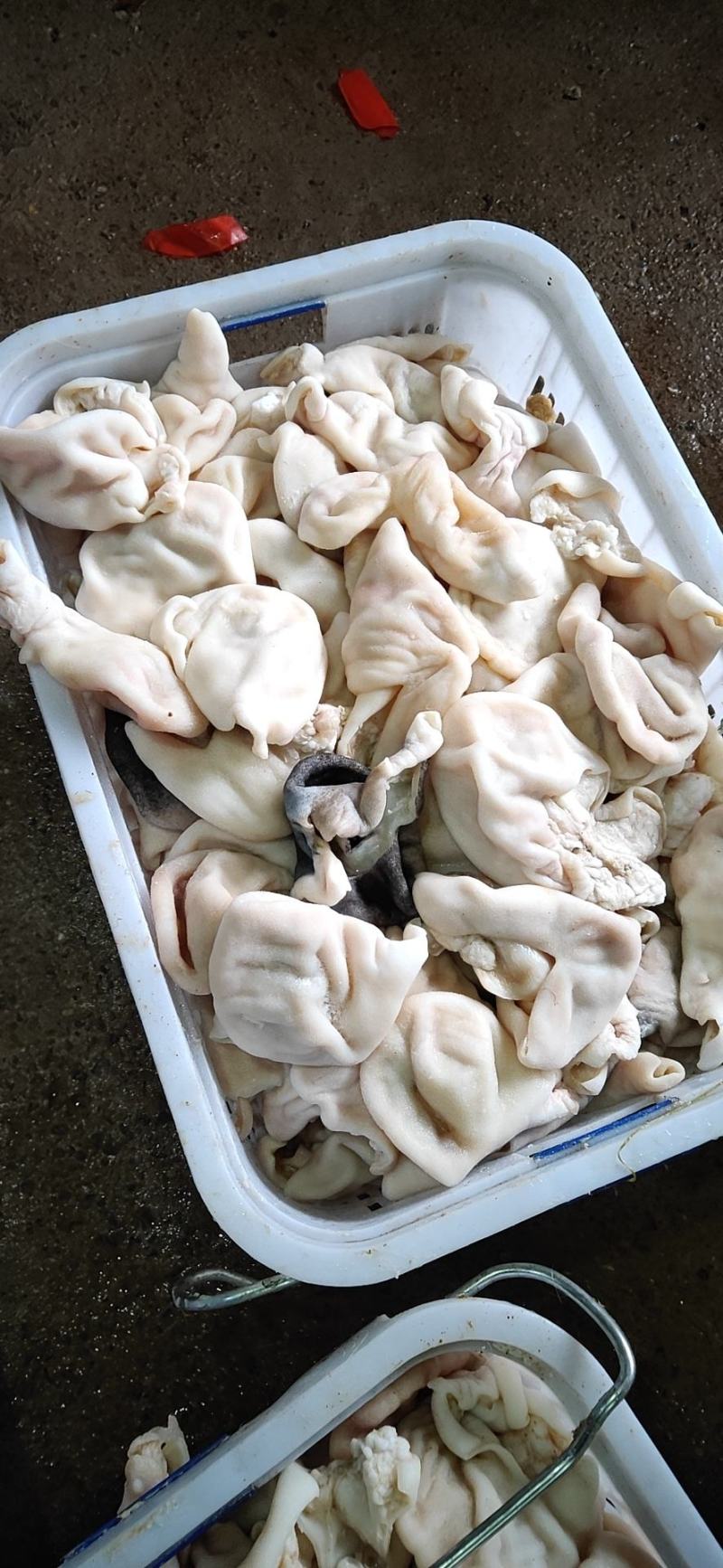 羊蛋皮尾皮