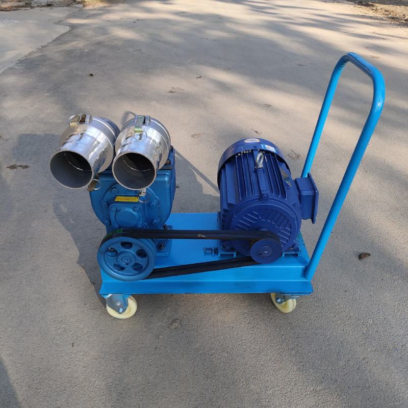 养殖抽粪排污泵吸粪泵污水泵家用抽化粪池泵便捷式小推车吸粪