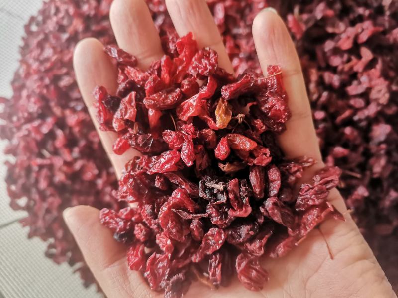 【诺一药材】山萸肉实拍视频精品药材
