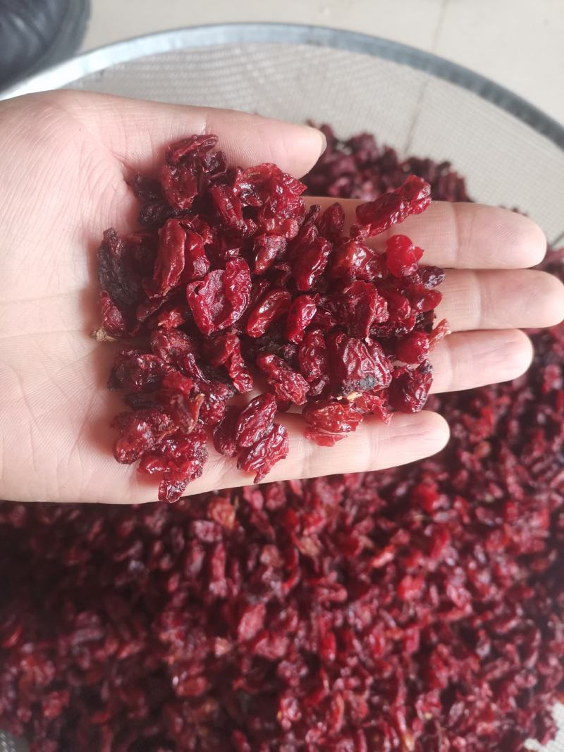 【诺一药材】山萸肉实拍视频精品药材