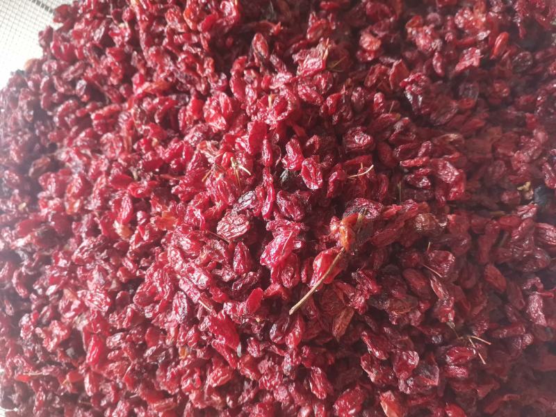 【诺一药材】山萸肉实拍视频精品药材