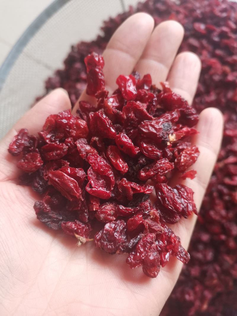 【诺一药材】山萸肉实拍视频精品药材
