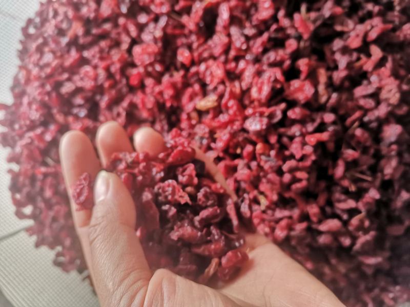 【诺一药材】山萸肉实拍视频精品药材