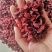 【诺一药材】山萸肉实拍视频精品药材